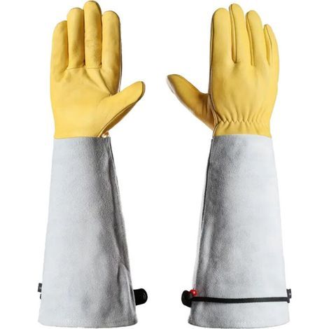 Gants de Jardinage en Cuir Anti-Coupure Outils pour Rosiers Épineux - Long Gant de Travail(L:46.5cm) (1/5)