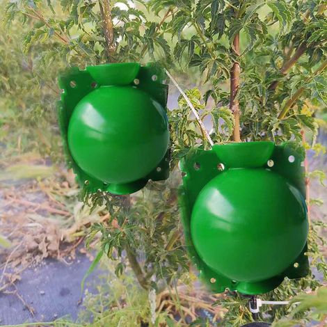 Lot de 10 boîtes de culture de racines pour plantes, boules de propagation haute pression, outil de greffage et d'enracinement, vert, taille S (1/5)