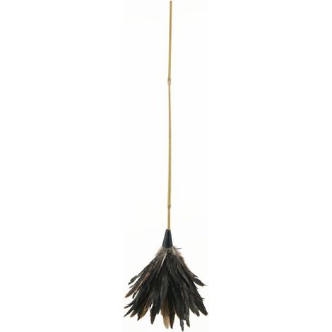Plumero de Gallo Natural Junc 70