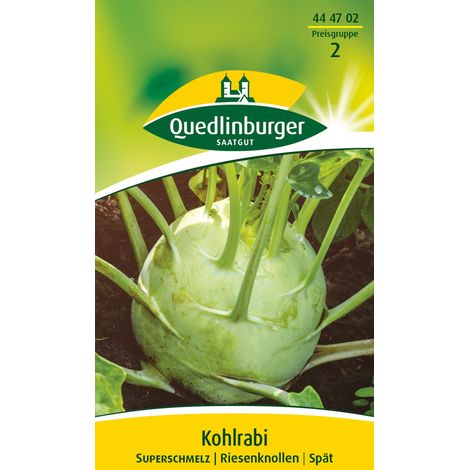 Quedlinburger Saatgut – Chou-rave Superschmelz – Graines de légumes, chou-rave géant, pour env. 150 plants (1/2)
