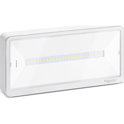 SCHNEIDER OVA44013 - Lampada di emergenza, IP65, SE-SA, 250/200/150/120lm SE, 150lm SA, 1/1,5/2/3h