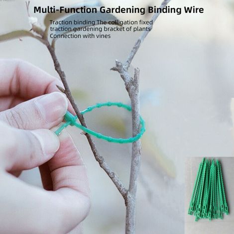 Fascette flessibili e regolabili per piante – Confezione da 500 pezzi verdi (17 cm), ideali per legare viti, arbusti e alberi in giardino.