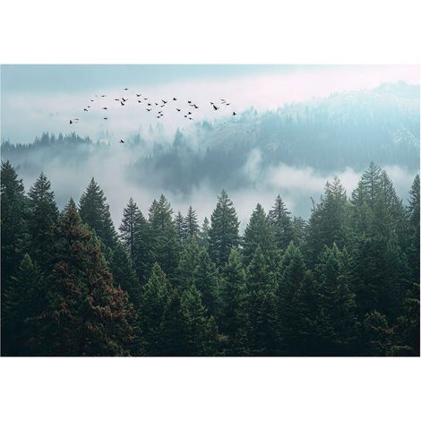 Papier peint mural forêt brume 3D arbres nature intissé grand format design intérieur salon chambre pas cher 150x105 cm (1/5)