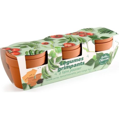 Kit jardinage légumes grimpants - Trio (1/3)