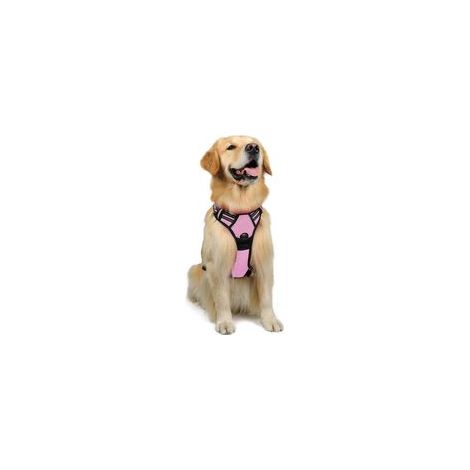 Harnais Chien Anti Traction,Harnais Réfléchissant Réglable avec Attache Devant Harnais pour Chien Moyen,Taille M (1/5)
