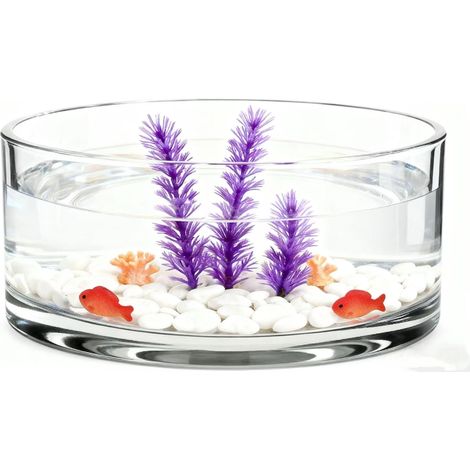 Grand vase en verre pour terrarium, pot de fleurs succulentes : vase en verre pour plantes aériennes, centre de table, récipient floral, bol à poisson pour la maison, le mariage, 20 x 20 cm (1/5)