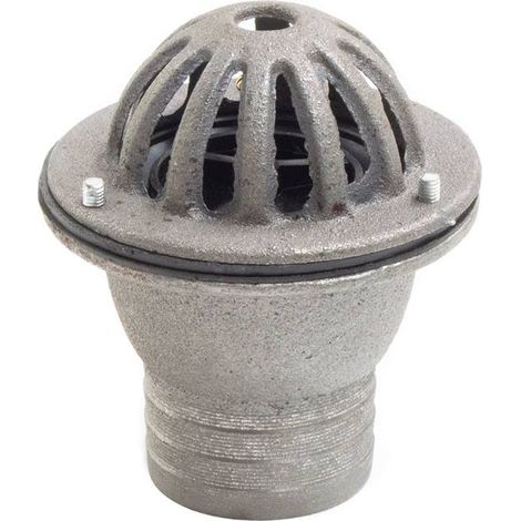 Wolf 2" Heavy Duty Cast Iron Foot Valve/Filter (1/3)