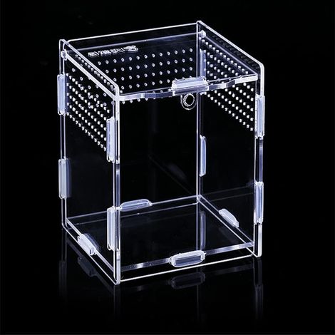 Boîte D Alimentation Insectes - Boîte Acrylique 8x7x10 cm - Terrarium Reptiles Et Arachnides - Avec 195 Trous De Ventilation 1-1,2 mm - Fermeture Magnétique - 1 Pièce (1/5)