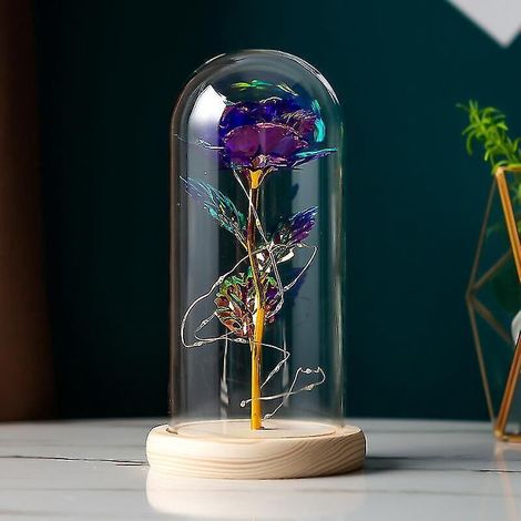 Ewige Rose aus Die Schöne und das Biest, Infinity Rose unter einer Glaskuppel, violettes LED-Licht (1/5)