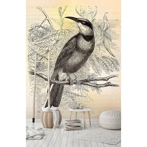 Papier peint panoramique oiseaux vintage | Tapisserie panoramique oiseau effet dessin orange & gris | Papier peint panoramique cuisine & escalier - 270 x 200 cm (2 pièces) (1/5)