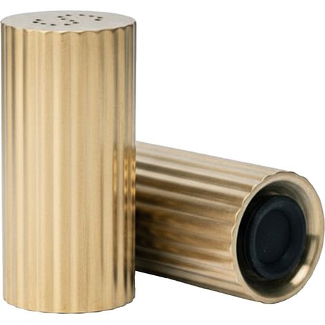 Multifunktionale Gewürzspender aus Edelstahl 304, 2 Stück, für Salz, Chilipulver, Puderzucker, Gold (1/5)