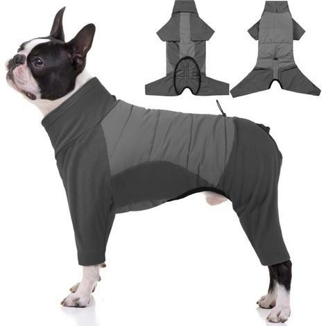Manteau gris pour chien, tour de poitrine 46-53 cm, une pièce, taille XS, coupe-vent, imperméable, épais rembourrage en coton, col montant. (1/5)