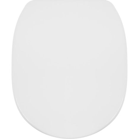 Copriwater WC Tondo Ceramica Azzurra Termoindurente (1/5)