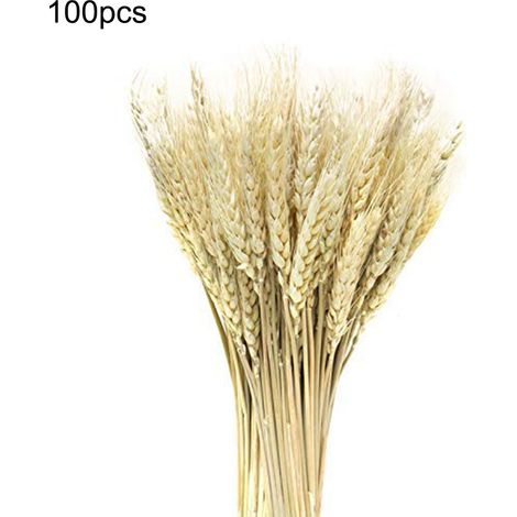 100 épis de blé artificiels secs réalistes pour décoration de Noël, soirée, mariage - gerbes de blé séchées (1/5)