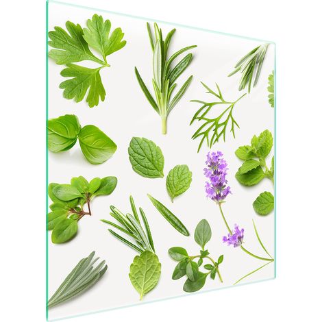 PLACA PROTECTORA DE VIDRIO PARA ESTUFA 50x52 PLANTAS (1/5)
