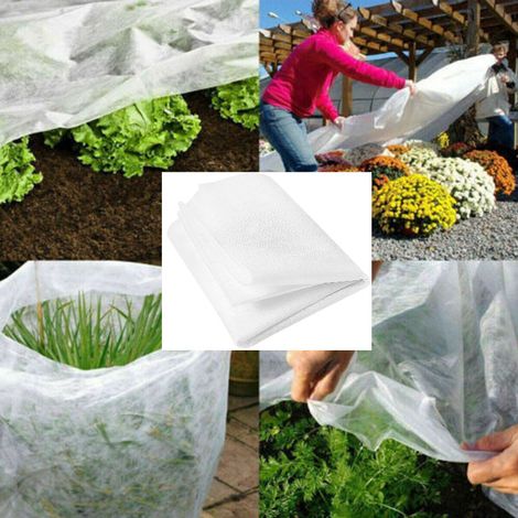 Telo antigelo bianco per piante, 3x10 m, tessuto non tessuto protettivo (1/4)