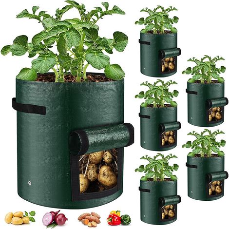 5 Pack PE Grow Bags with Flap Lids and Handles, Durable Rustproof Plant Pots, Foldable & Reusable, Ideal for Balcony & Patio, 23x28 cm for Vegetables, Fruits & Herbs (1/5)
