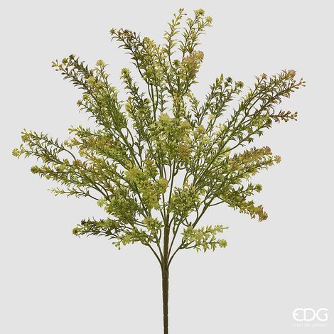 EDG Enzo De Gasperi Pianta Artificiale Erba Palustre Cespuglio H 55 Cm Yellow Green – Pianta Decorativa Realistica Design Moderno