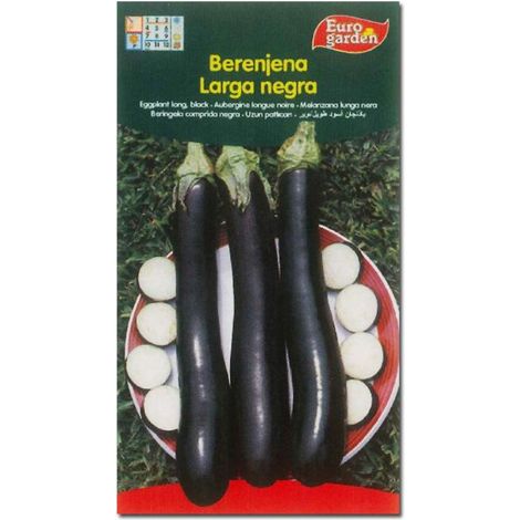 SEMILLAS FITO HORTICOLAS BERENJENA LARGA NEGRA=00013