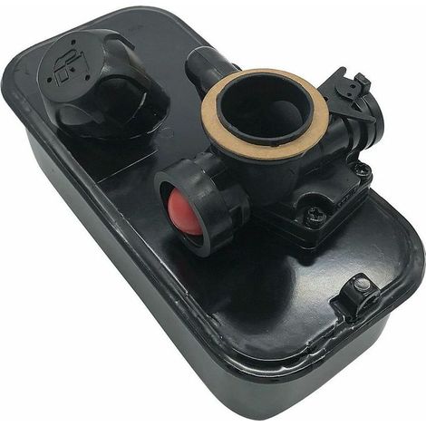 Carburateur Briggs Stratton 93902 95902 95982 96902 96982 98982 (1/5)