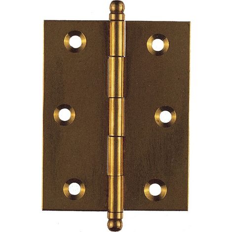 BL CERNIERA OTTONE 60 X 100 MM DA 2 PZ