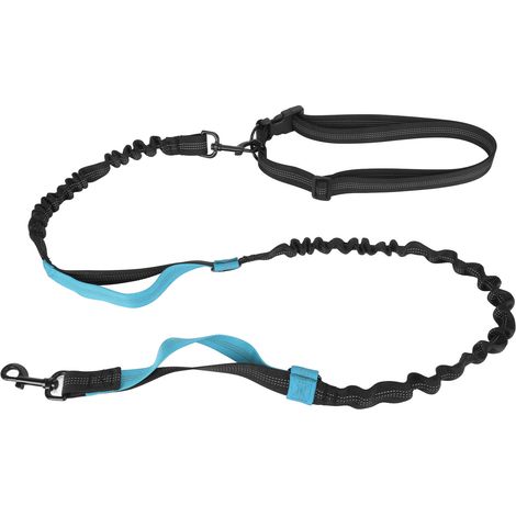 Robuste, elastische Hundeleine, stoßdämpfend, mit 2 gepolsterten Griffen, ideal für Spaziergänge und das Training großer Hunde (blau). (1/5)