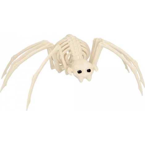 Décoration - JOUR DE FETE - Squelette d'araignée - 35 cm - Plastique - Intérieur (1/4)
