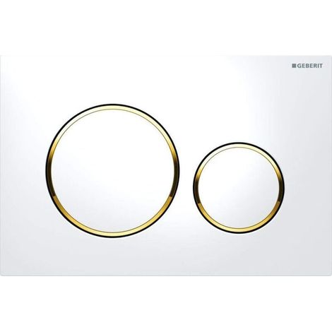 Plaque De Commande - Double Bouton - Pour Reservoir Sigma - Blanc Et Chrome - 1 Unite (1/4)
