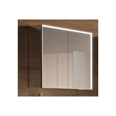 Specchio Contenitore a Due Ante  - 50x70x20 cm - Con Due Ripiani Interni (1/3)