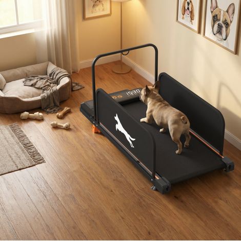 Tapis roulant per cani nero in acciaio, silenzioso, 2 in 1, 109,5 x 49 x 72 cm, REDOM (1/5)