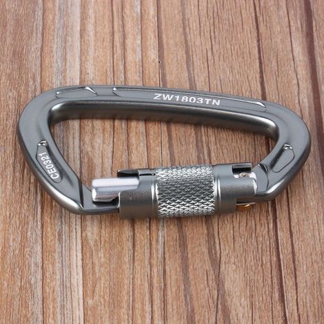 Mousqueton de sécurité en alliage d'aluminium 25 kN avec boucle en D pour l'escalade en extérieur (1/5)