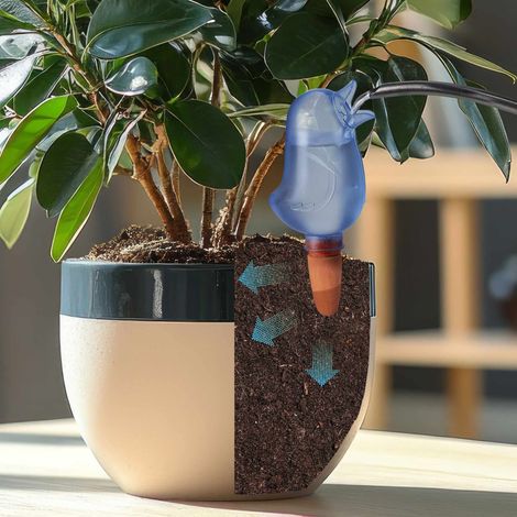 Conos de tono de pajaro en un conjunto