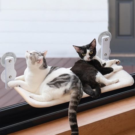 Katzen-Fensterhängematte 60×30 cm, klappbar, stabil mit Saugnäpfen bis 18 kg Tragkraft, Farbe: Weiß