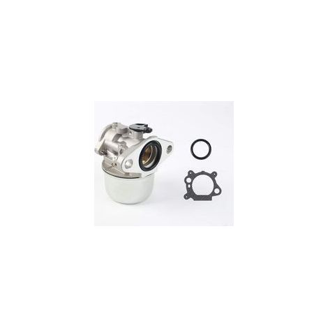 Replacement Carburetor Kit Compatible with Briggs & Stratton 497586, 498170, 799868, 498254, 497314, 497347, 698444 (1/5)