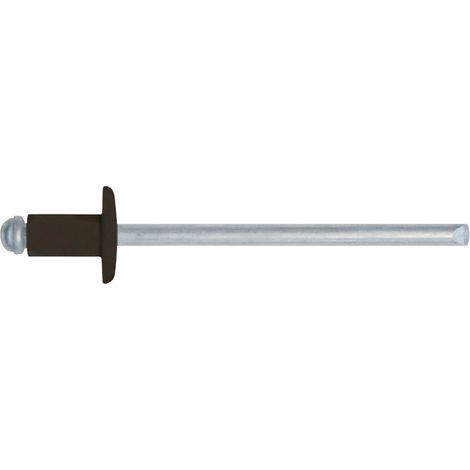 4X8 MM RIVETTI MARRONE TESTA DI MORO  A STRAPPO -- CONFEZIONE 100 PZ-- BRIXO RIVETTATRICE RIVETTO (1/3)