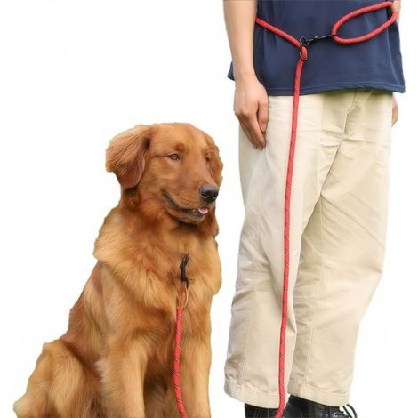 Reflektierende, extrem strapazierfähige, verstellbare 3-in-1-Trainingsleine für mittelgroße und große Hunde (15–80 kg) – Leuchtend Rot (1/5)