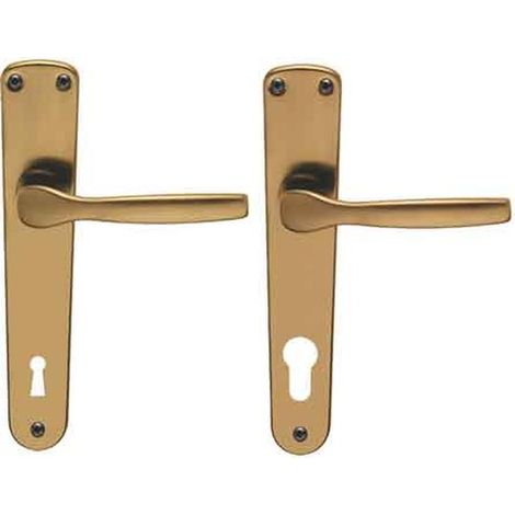 MANIGLIA 'GINEVRA' CON PLACCA Foro patent - Argento