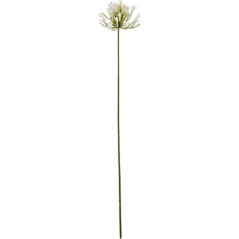 Agapanthus Spray (Single Stem Flower) - Plastic - L15 x W15 x H75 cm - Cream
