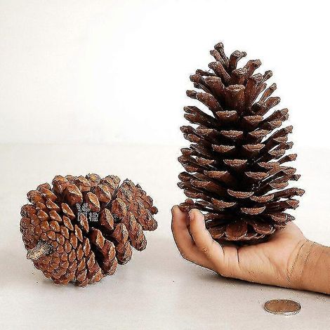 Grandes pommes de pin naturelles, accessoires photo, décorations de Noël, décorations pour sapin, pommes de pin pour Noël et le Nouvel An, décorations de fête à faire soi-même (1/5)