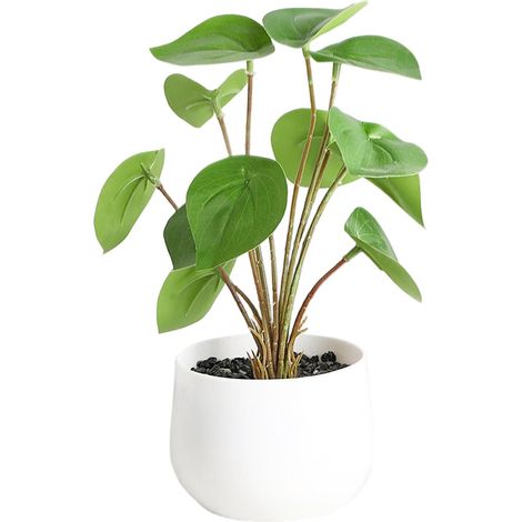 Bouquet de fleurs artificielles, fleurs en plastique longue durée, pot en PVC imitation céramique pour décoration intérieure + pothos (1/2)