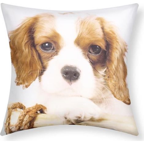Housses de coussin - AVIZAR - Lot de 2 - 40x40 cm - Motif Chien King Charles - Synthétique (1/5)