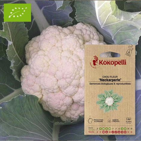 Chou Fleur Neckarperle