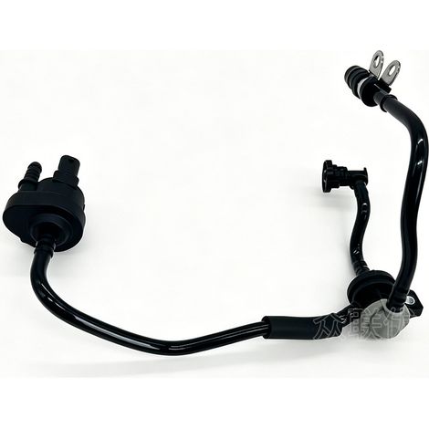 Ensemble canister charbon actif 06J133781CD, compatible avec Volkswagen Magtotan, New Passat, Superb EA888 2.0T (1/4)