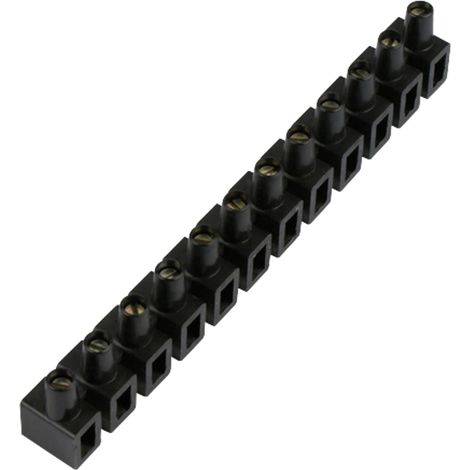 Borne serre-fils souple 12 broches 6,0 qmm (1/4)