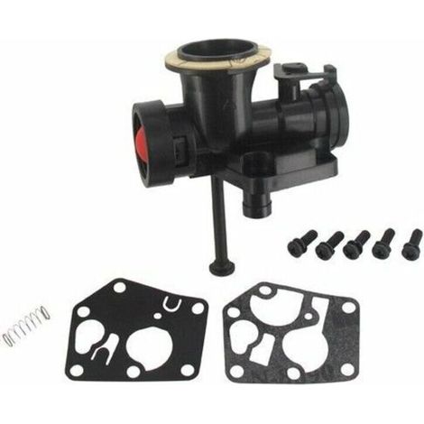 Carburateur Briggs Stratton sur réservoir 498811 (1/4)