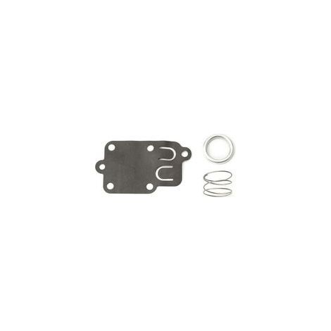 QORVA-Membrane carburateur Briggs et Stratton (1/4)