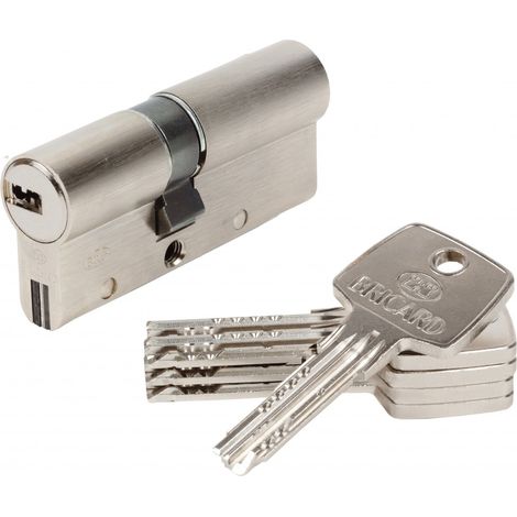 Bricard – Cylindre de serrure débrayable 30 + 40 mm – 5 clés réversibles – Protection anticasse et anticorps – 10 goupilles pour sécurité renforcée