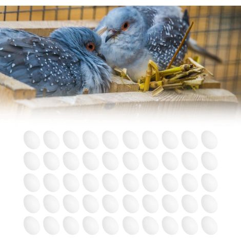 50 faux œufs de pigeon en plastique, solides, pour l'éclosion et l'élevage d'oiseaux (1/5)