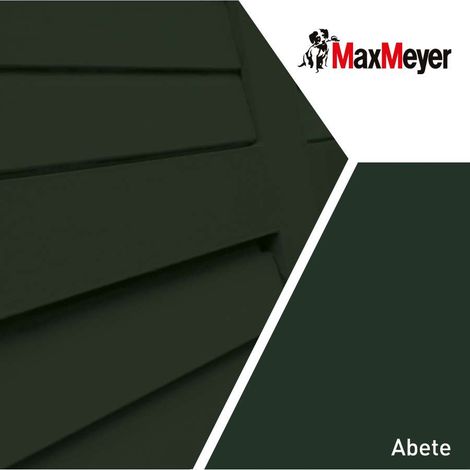 MaxMeyer Smalto a Solvente Brillante Abete R6009 0,750 l (1/2)
