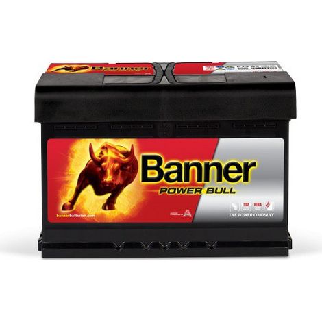 Batterie voiture 12V 72Ah 660A – P7209 – Technologie plomb-calcium sans entretien – Pour démarrage fiable voitures et camionnettes – Banner